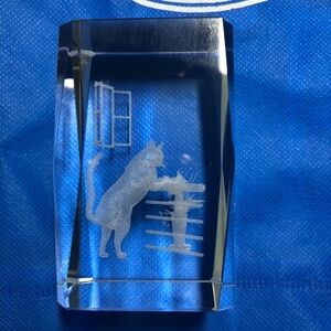 Glass Laser Etched Paperweight Cat Standing Desk Fence 3D Effect